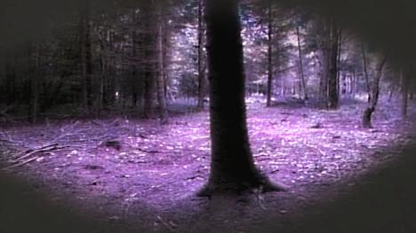 Dunkley Wood, as featured in Level 2 of Series 4 (1990).
