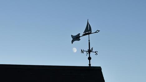 A weather vane on the top of a house pointing southwards