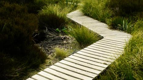 Winding pathway. Based on Crooked Nature Path by Shirley Serban for FreeImages.
