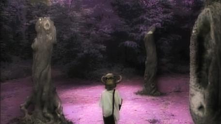 The Forest of Dun, as seen in Series 4 of Knightmare (1990).