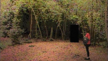 An area of the Greenwood, as seen in Series 5 of Knightmare (1991).